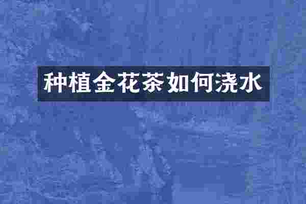 种植金花茶如何浇水
