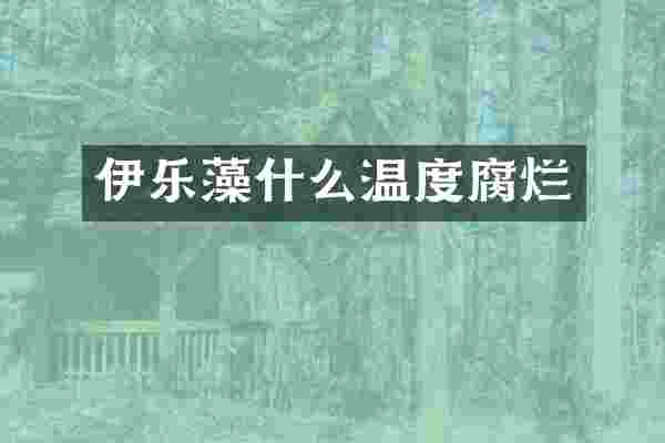 伊乐藻什么温度腐烂