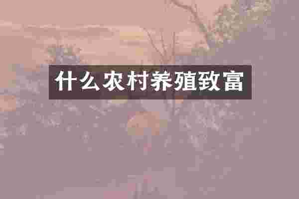 什么农村养殖致富