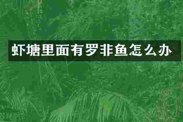 虾塘里面有罗非鱼怎么办