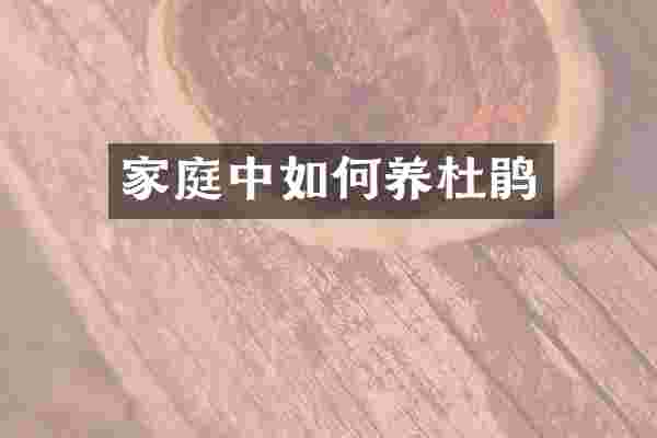 家庭中如何养杜鹃