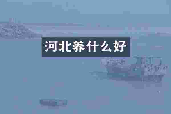 河北养什么好
