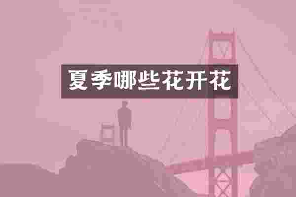 夏季哪些花开花