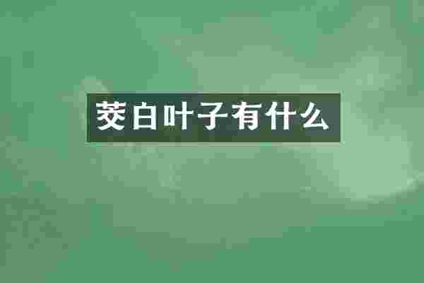 茭白叶子有什么