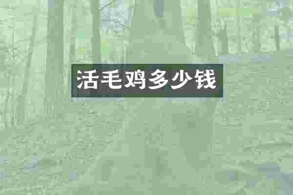 活毛鸡多少钱