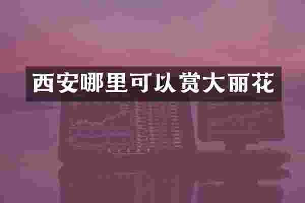 西安哪里可以赏大丽花