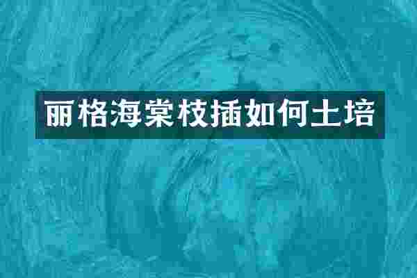 丽格海棠枝插如何土培