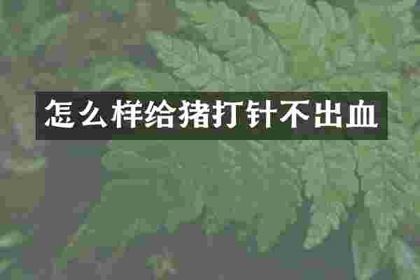 怎么样给猪打针不出血