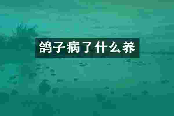 鸽子病了什么养