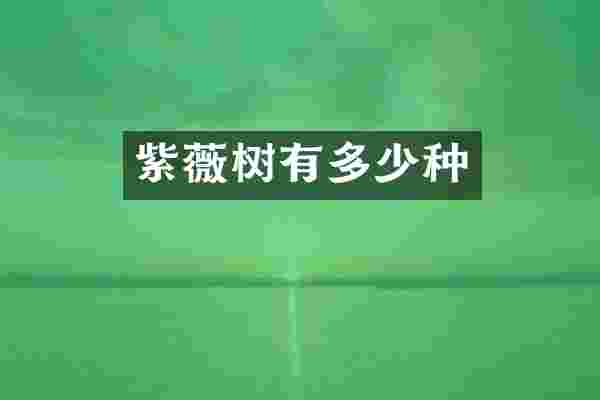 紫薇树有多少种