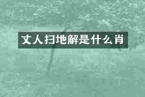 丈人扫地解是什么肖