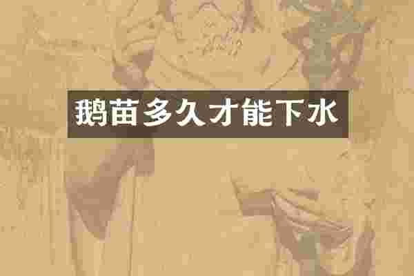 鹅苗多久才能下水