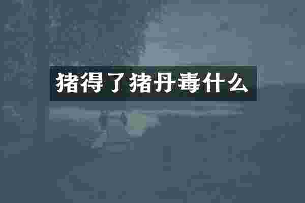 猪得了猪丹毒什么