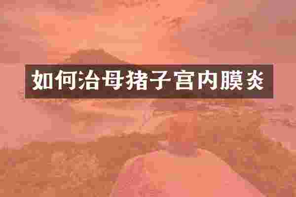 如何治母猪子宫内膜炎
