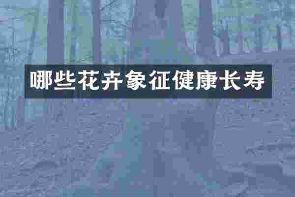 哪些花卉象征健康长寿