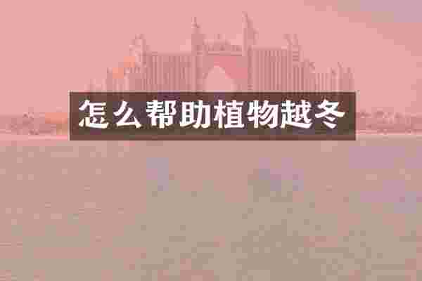 怎么帮助植物越冬