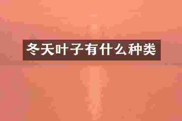 冬天叶子有什么种类