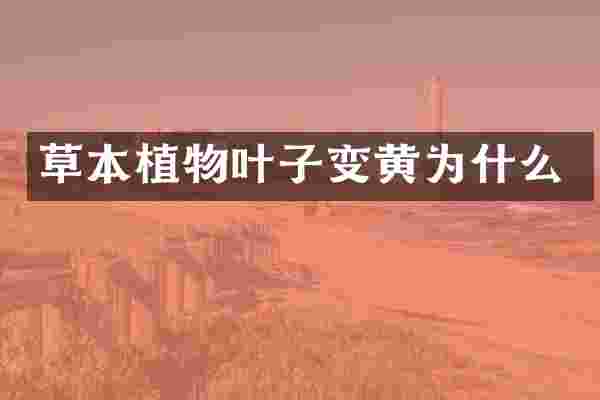 草本植物叶子变黄为什么