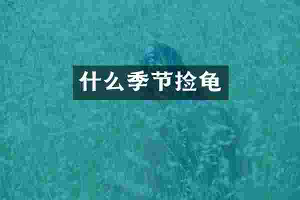 什么季节捡龟