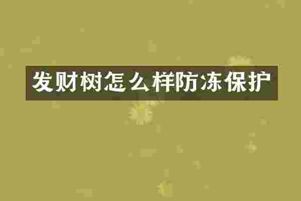 发财树怎么样防冻保护