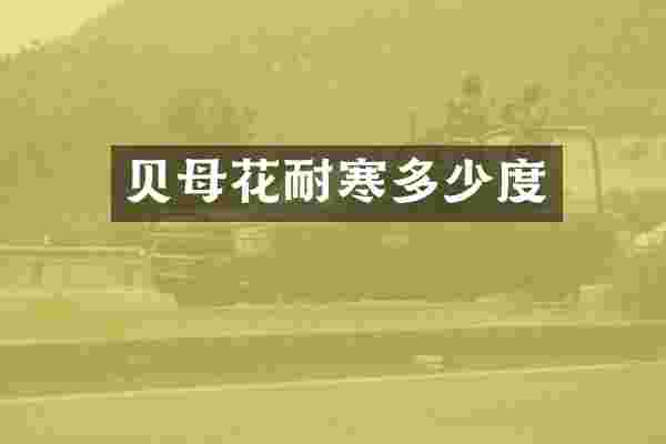 贝母花耐寒多少度