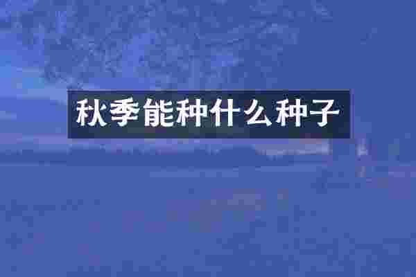 秋季能种什么种子