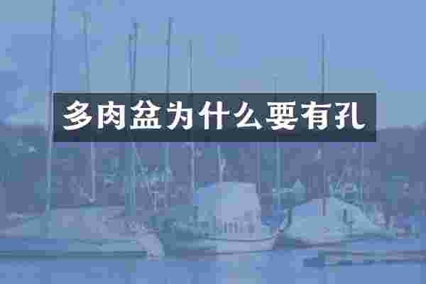 多肉盆为什么要有孔