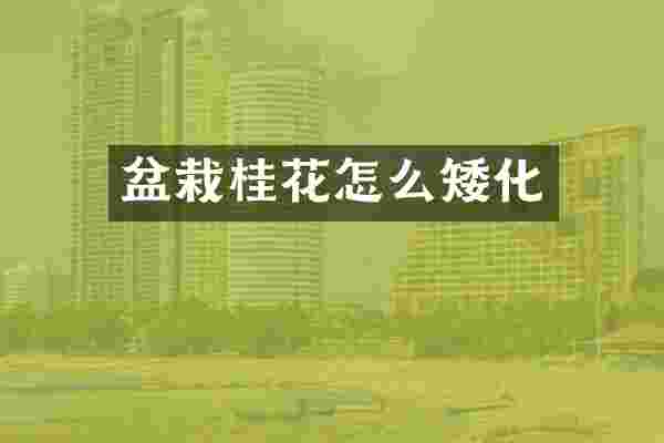 盆栽桂花怎么矮化