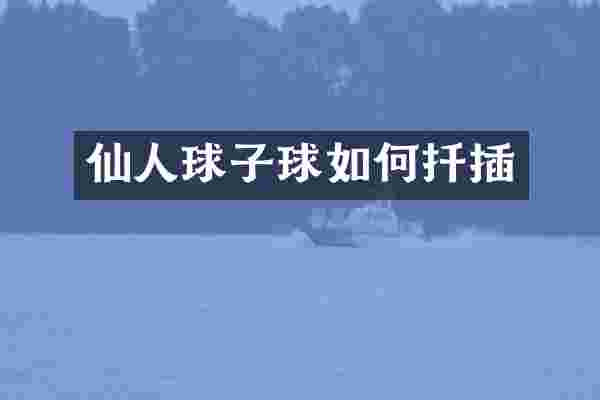 仙人球子球如何扦插