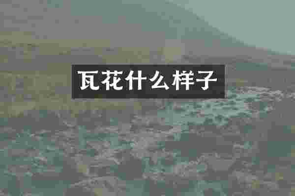 瓦花什么样子