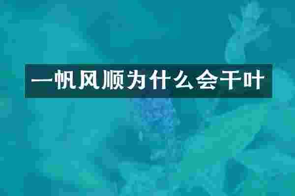 一帆风顺为什么会干叶