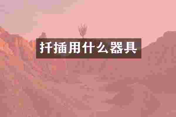 扦插用什么器具