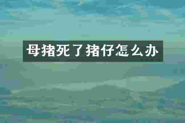 母猪死了猪仔怎么办