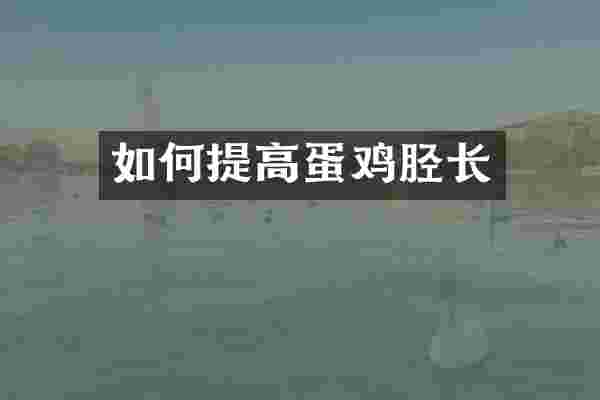 如何提高蛋鸡胫长