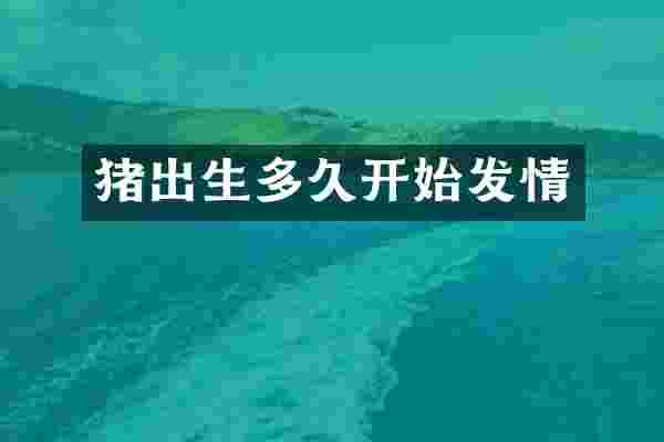 猪出生多久开始发情