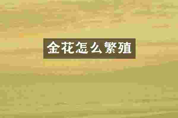 金花怎么繁殖