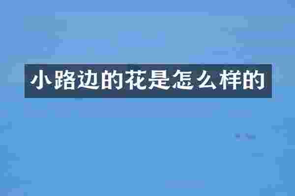 小路边的花是怎么样的
