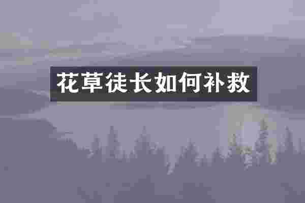 花草徒长如何补救