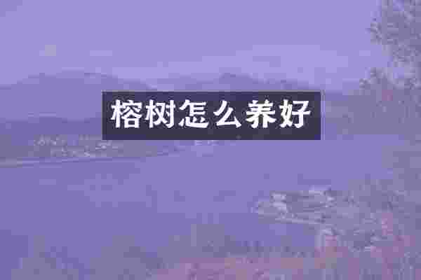 榕树怎么养好