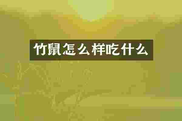 竹鼠怎么样吃什么