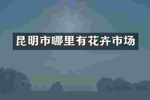 昆明市哪里有花卉市场