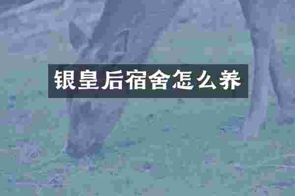银皇后宿舍怎么养