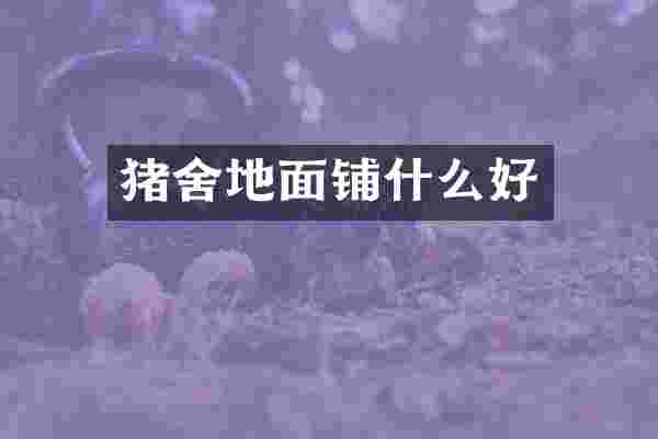 猪舍地面铺什么好