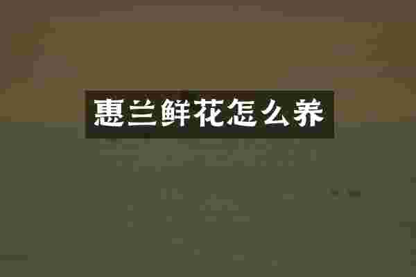 惠兰鲜花怎么养