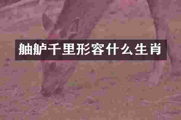 舳舻千里形容什么生肖