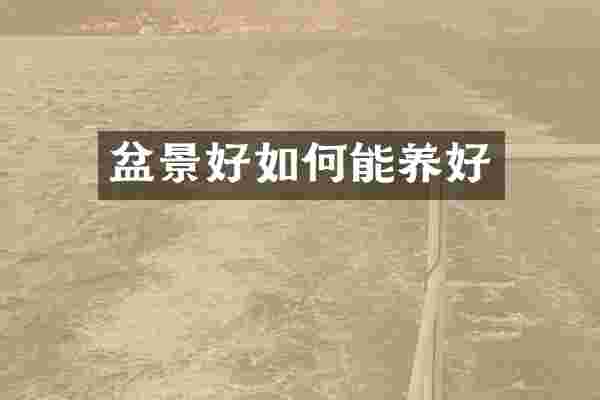 盆景好如何能养好