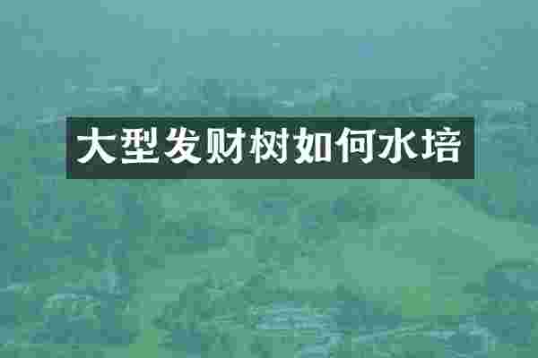 大型发财树如何水培