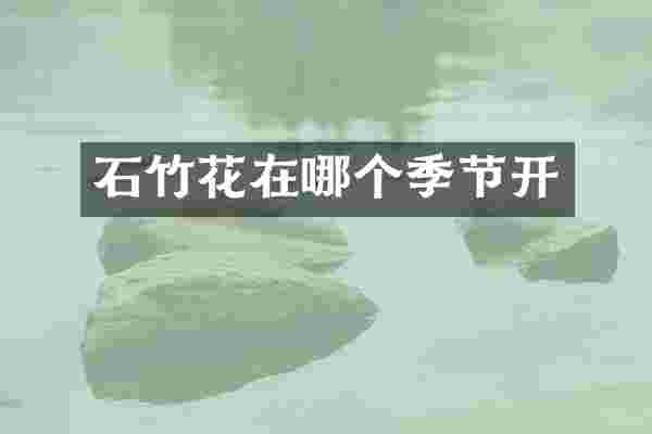 石竹花在哪个季节开