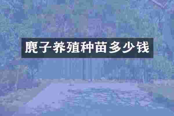 麂子养殖种苗多少钱