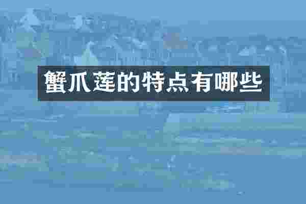 蟹爪莲的特点有哪些